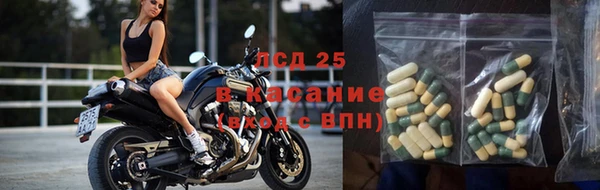 PSILOCYBIN Вяземский